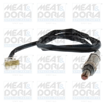 Oxygen Sensor